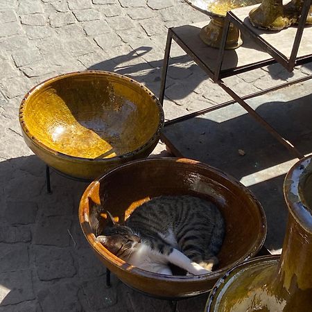 Villa Louisa Piscine Privee Sans Vis A Vis Dyar Shemsi Taroudant Eksteriør billede