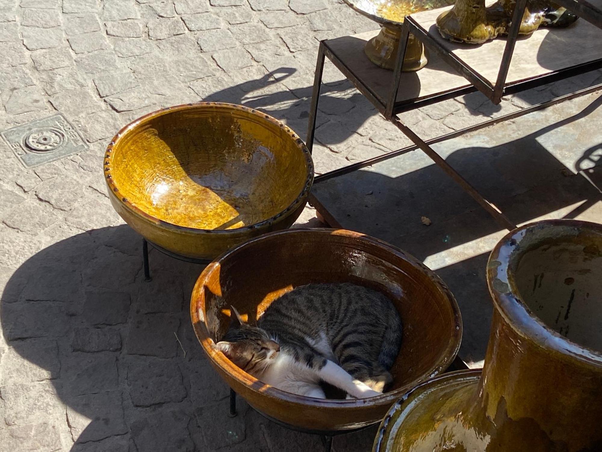 Villa Louisa Piscine Privee Sans Vis A Vis Dyar Shemsi Taroudant Eksteriør billede